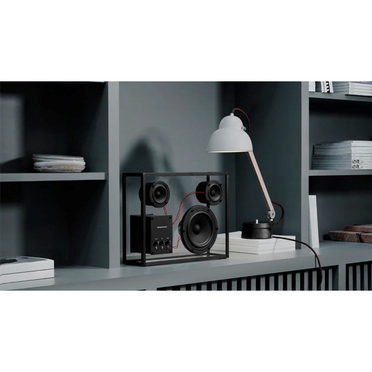 Transparent Speaker